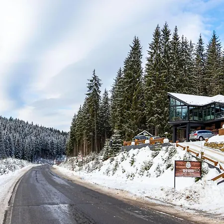 шишка Hotell Bukovel