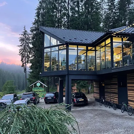 шишка * Bukovel