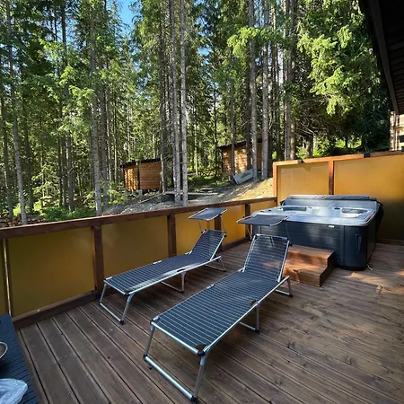 шишка Hotell Bukovel