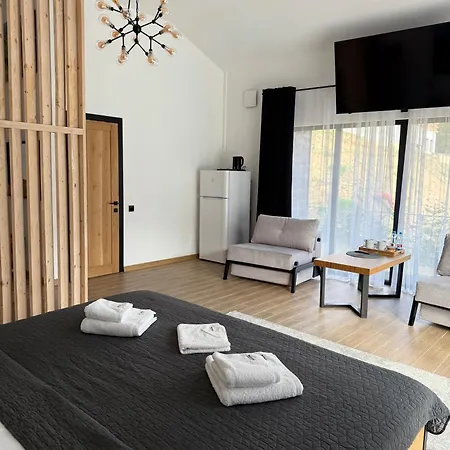 шишка Hotell