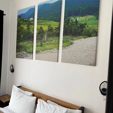 шишка Hotell Bukovel