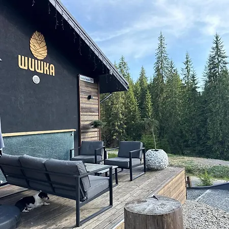 шишка * Bukovel