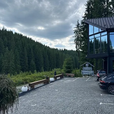 шишка