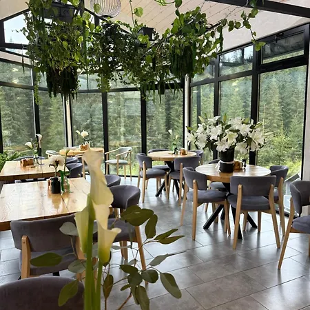 шишка Hotell Bukovel