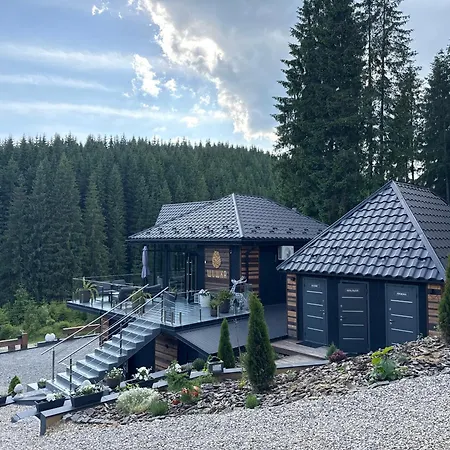 шишка Hotell *