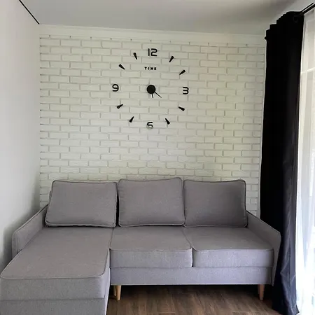 шишка Hotel *