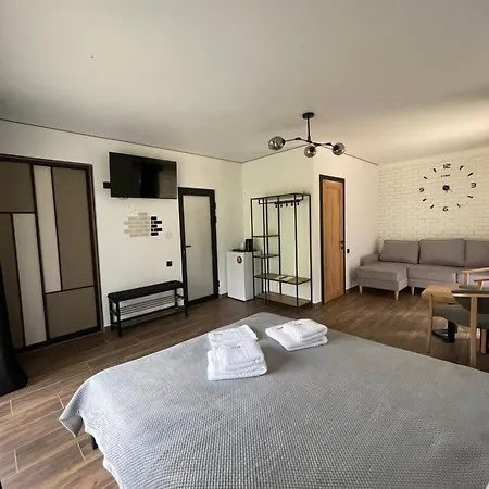 Hotel шишка