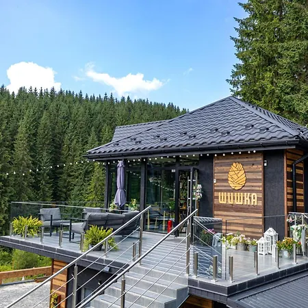 Hotel шишка Bukowel