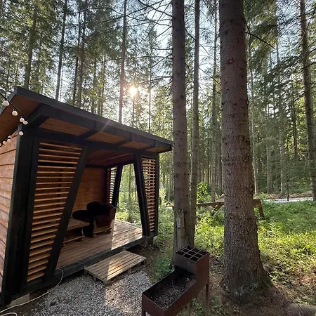 шишка Hotel