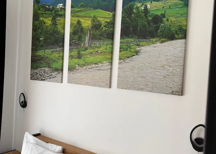 шишка Hotel Boekovel