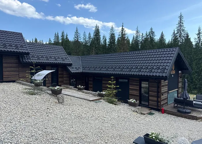 шишка Hotel *