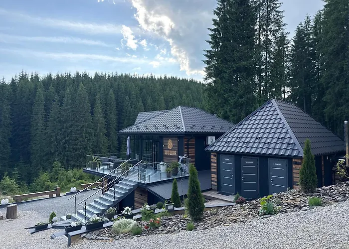 шишка Hotel *